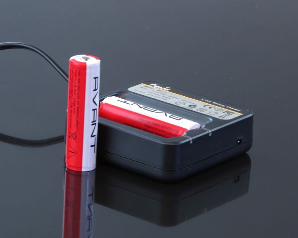 Fenix зарядное устройство ARE-C1 (2x18650) (с батарейками 1) - интернет-магазин Викинг