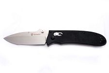 Ganzo   G704