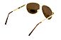  BluWater AirForce Gold Polarized (brown),    